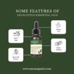 eucalyptus eo features