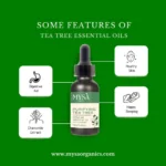 Tea tree Features